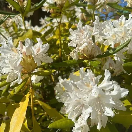 דירה In Garz Bei Kayser's